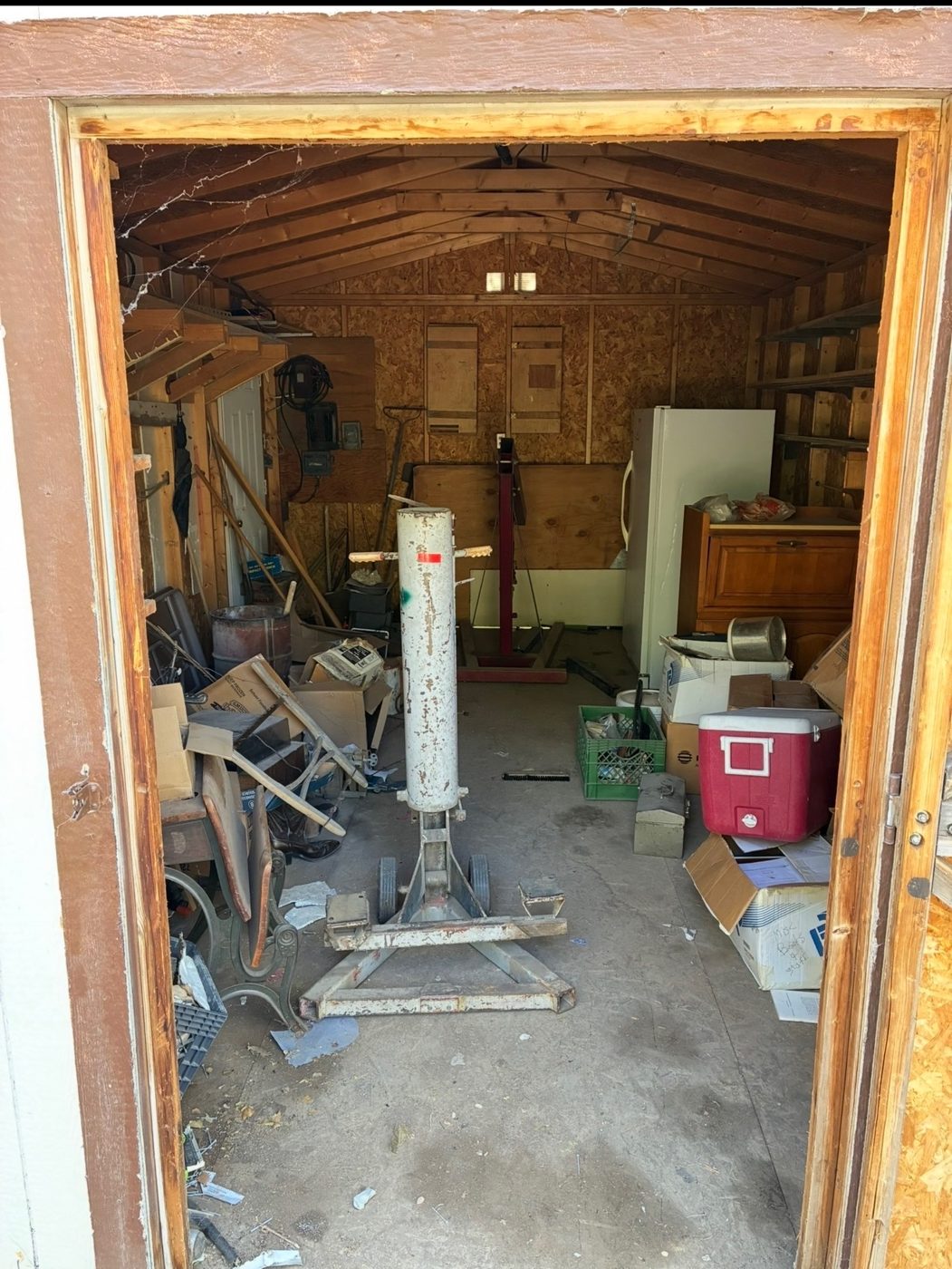 Before: STORAGE SHED CLEANOUT